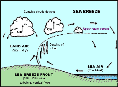 Visible Sea Breeze Return Flow - Blog.WeatherFlow.com