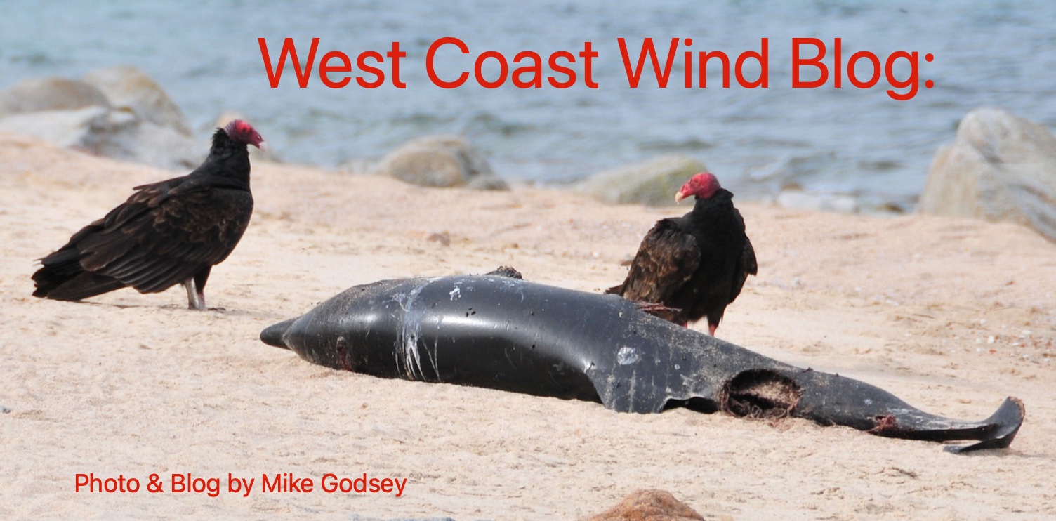 West Coast Wind Blog: Pembunuh angin dan promotor angin hari ini