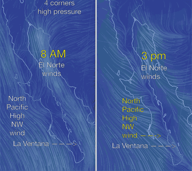 Understanding Baja winds