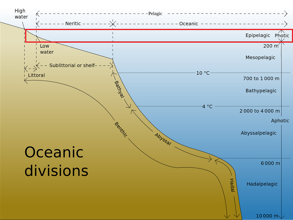 Warm Caribbean Epipelagic Zone Helps Strengthen Hurricane Matthew to a